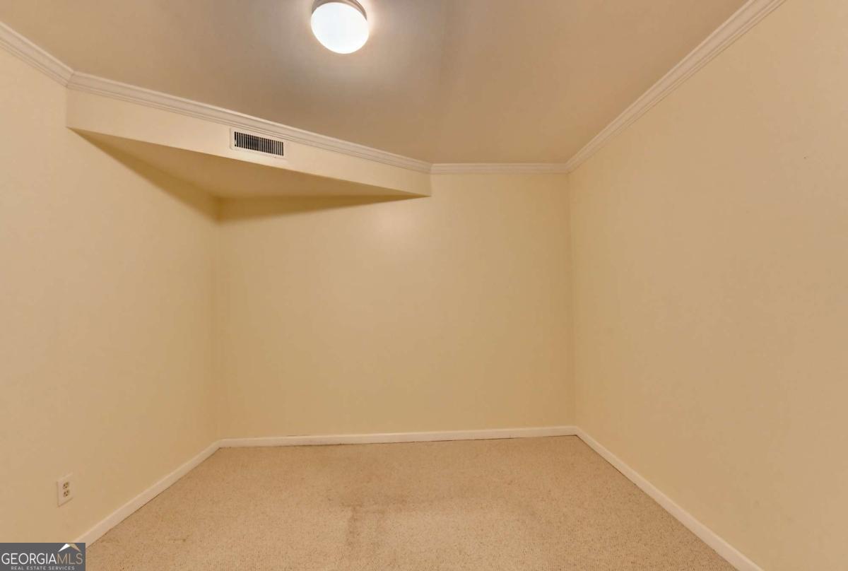 868 Branch Tree Court Property Photo 52