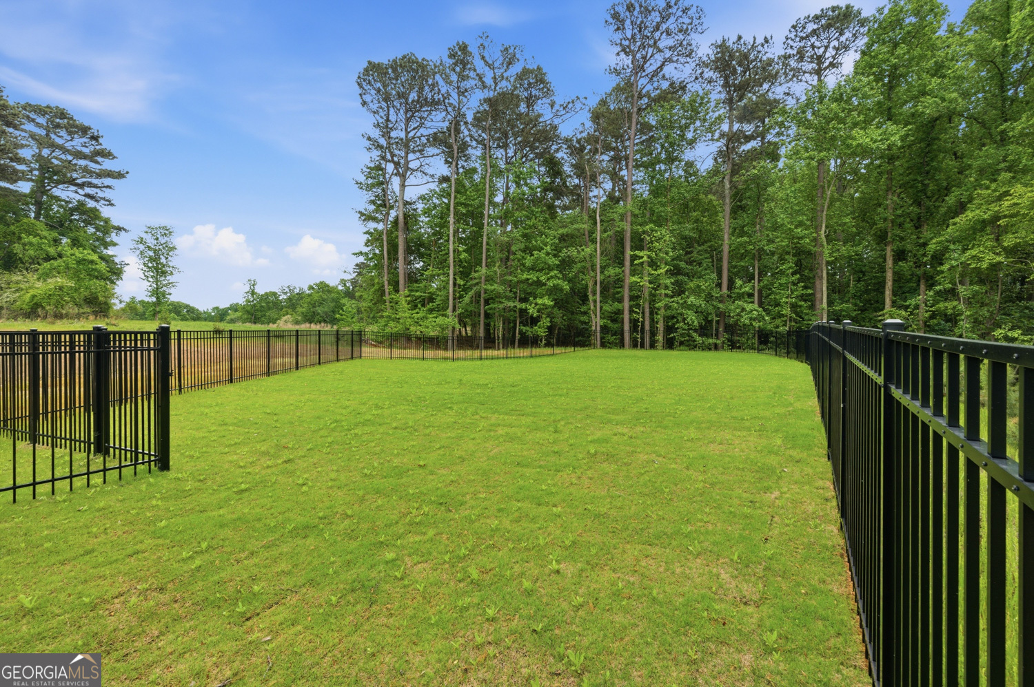 4178 Millstone Park Lane Property Photo 35