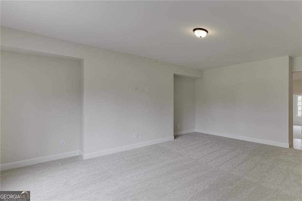 8135 Heardsville Court Property Photo 43