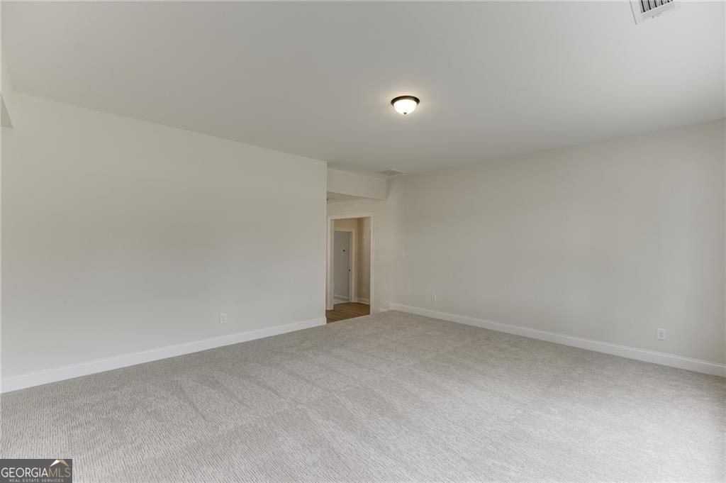 8135 Heardsville Court Property Photo 44