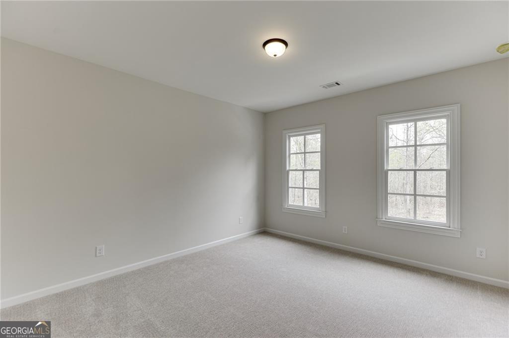 8135 Heardsville Court Property Photo 45