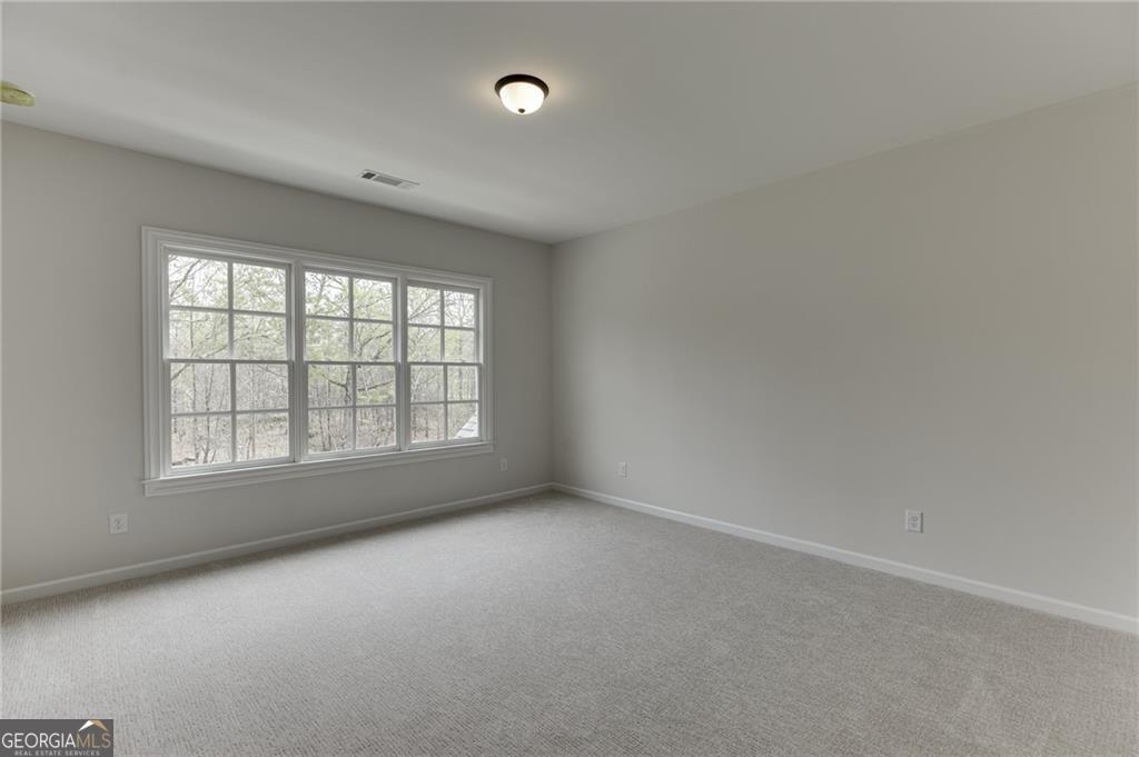 8135 Heardsville Court Property Photo 51