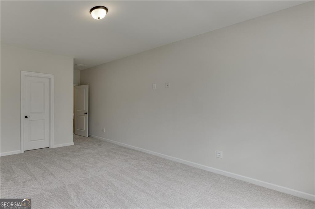 8135 Heardsville Court Property Photo 52