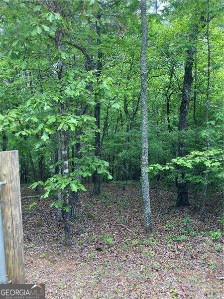 0 Crest View Drive Property Photo 4