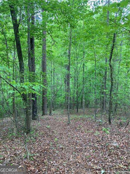 0 Crest View Drive Property Photo 5