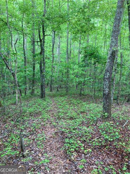 0 Crest View Drive Property Photo 6