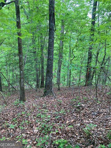 0 Crest View Drive Property Photo 7