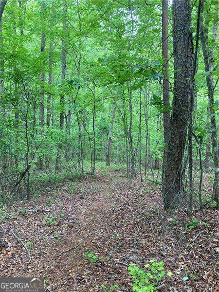 0 Crest View Drive Property Photo 8