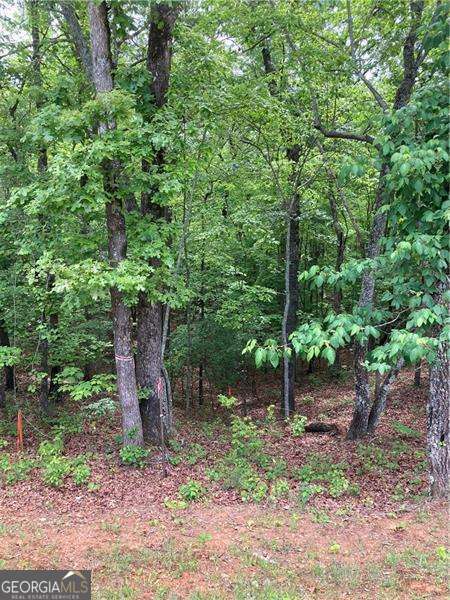 0 Crest View Drive Property Photo 10