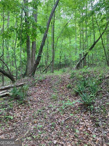 0 Crest View Drive Property Photo 12