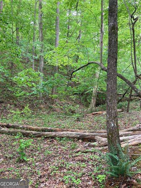 0 Crest View Drive Property Photo 14