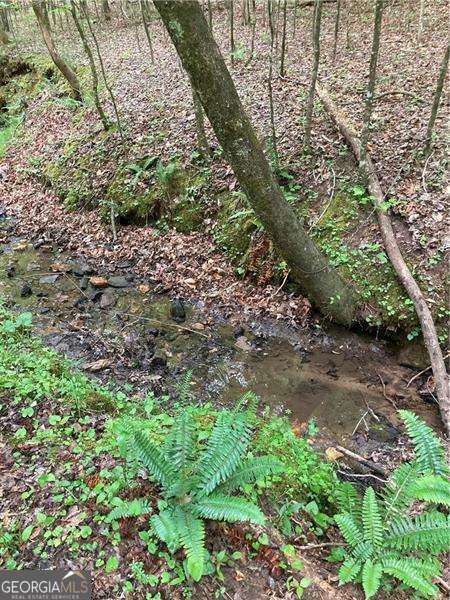 0 Crest View Drive Property Photo 15