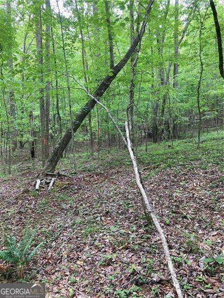 0 Crest View Drive Property Photo 17