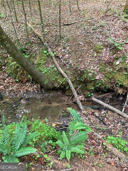0 Crest View Drive Property Photo 18