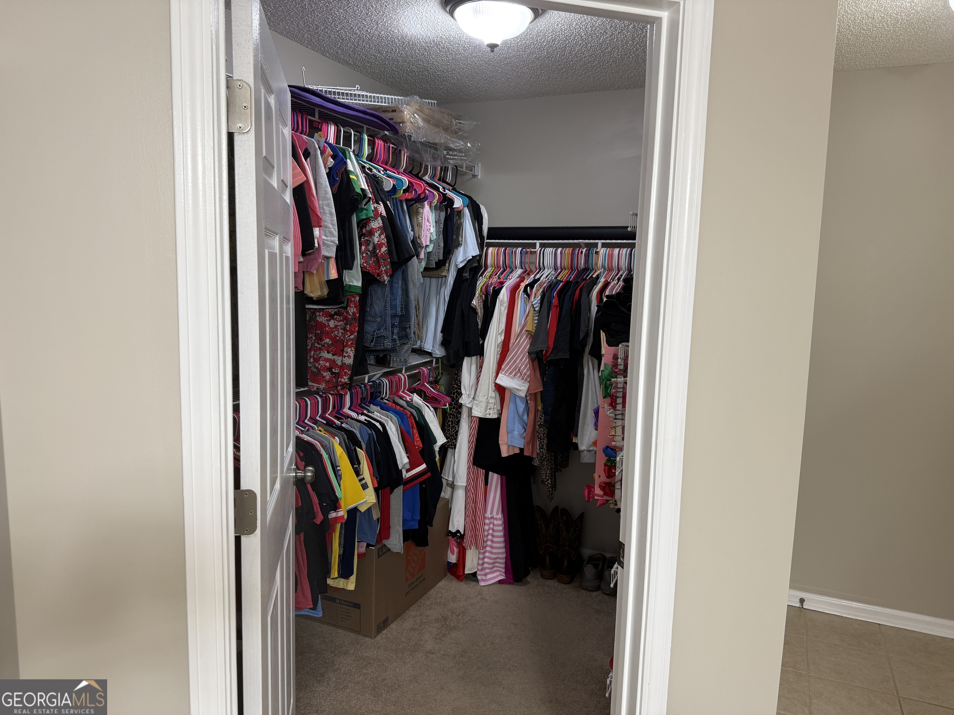 71 Williamson Trace Property Photo 32