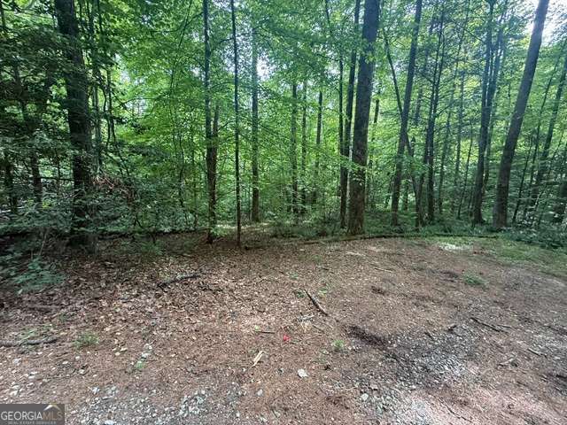 389 Fox Trot Road # B Property Photo 1