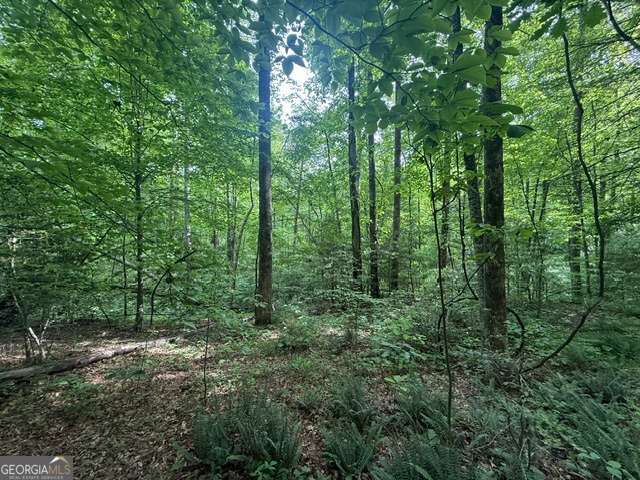 389 Fox Trot Road # B Property Photo 2