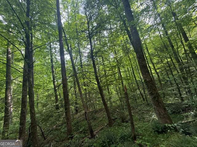 389 Fox Trot Road # B Property Photo 3