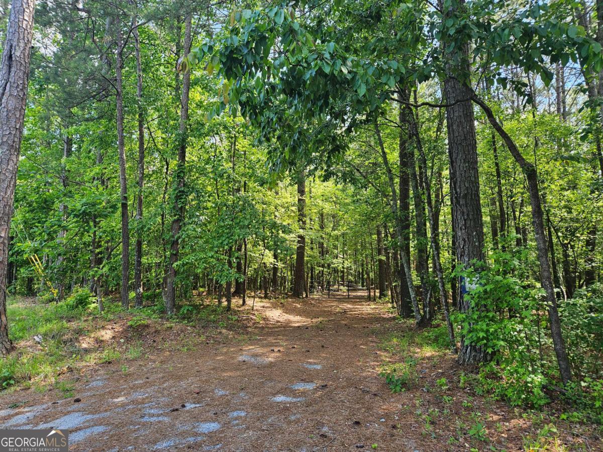 0 Ponderosa Property Photo 1