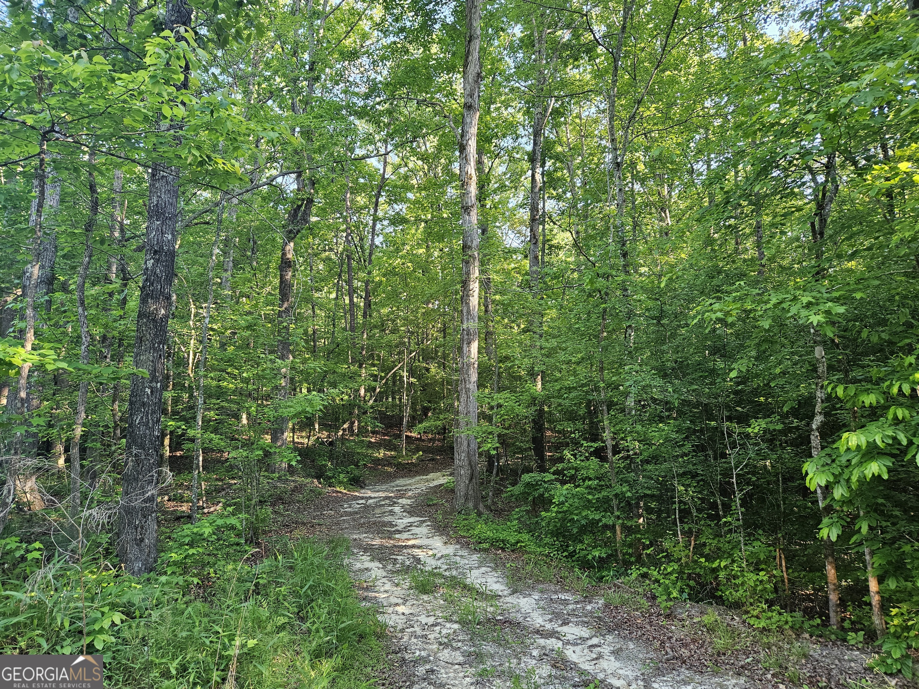 0 Ponderosa Property Photo 7