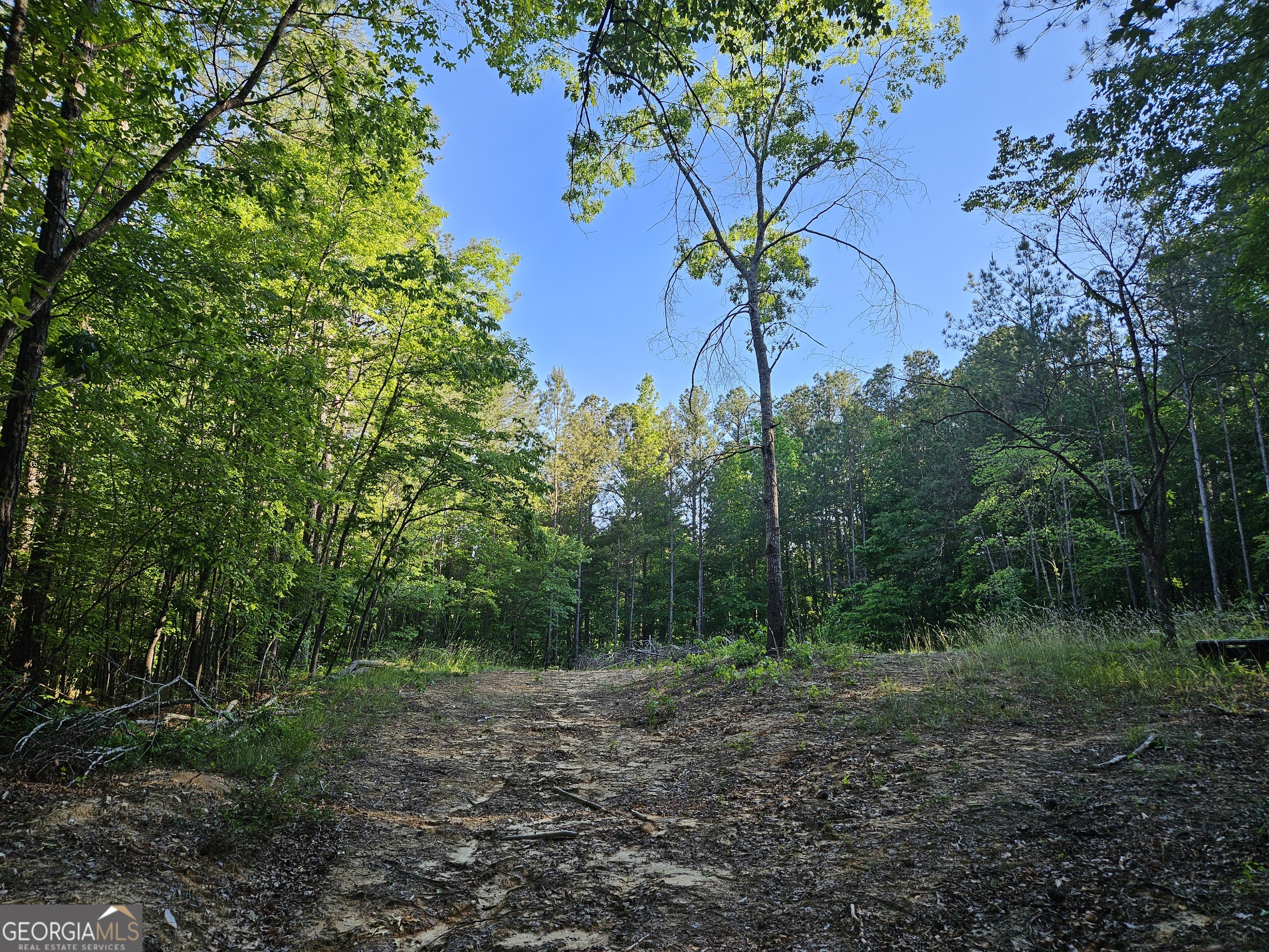 0 Ponderosa Property Photo 10