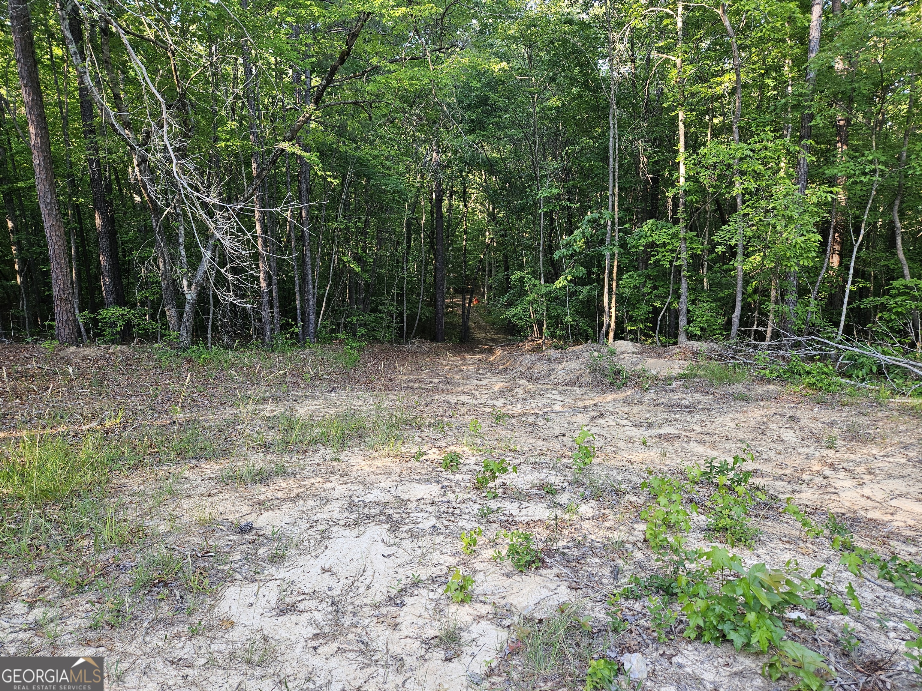 0 Ponderosa Property Photo 11