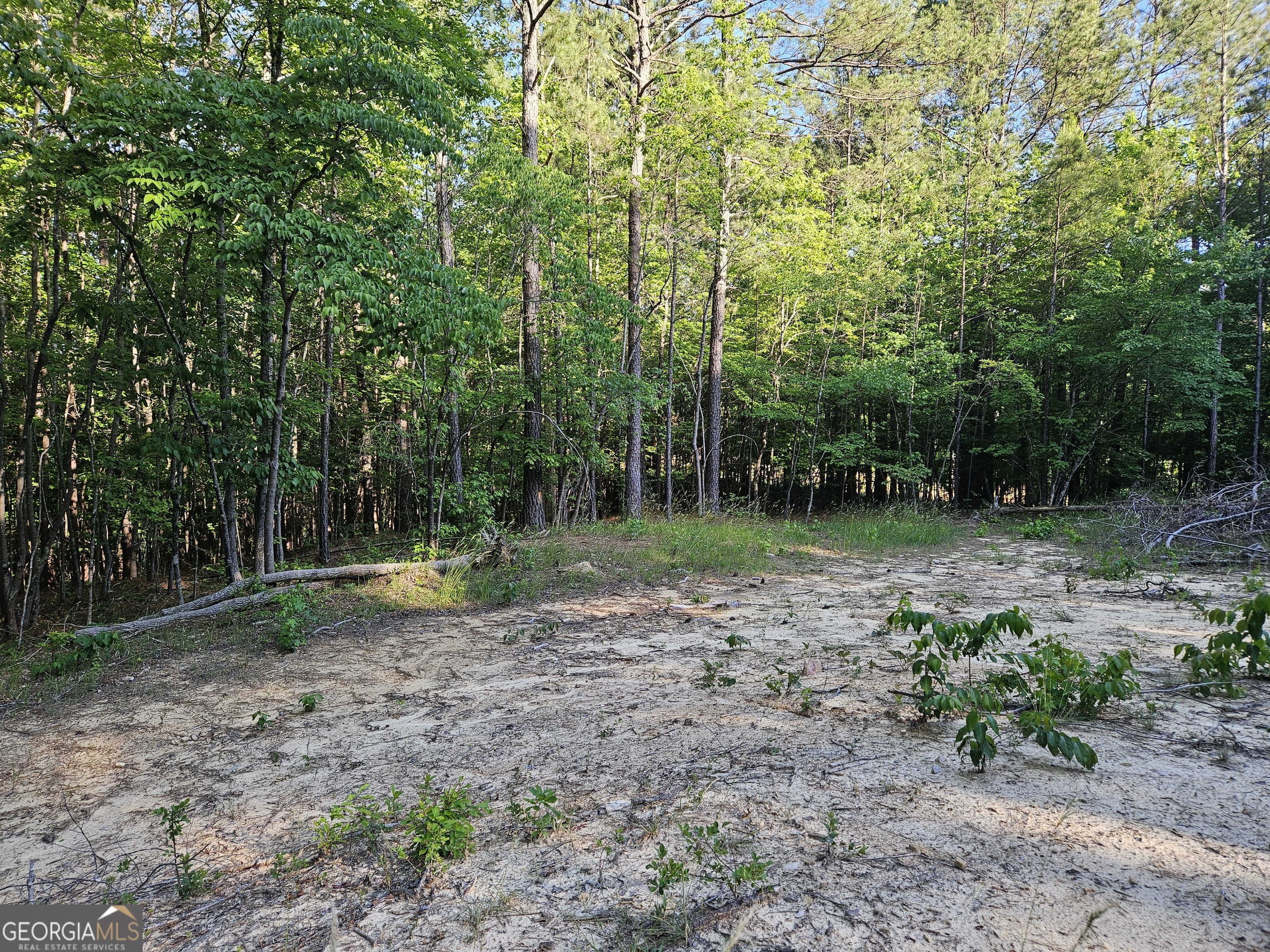 0 Ponderosa Property Photo 12