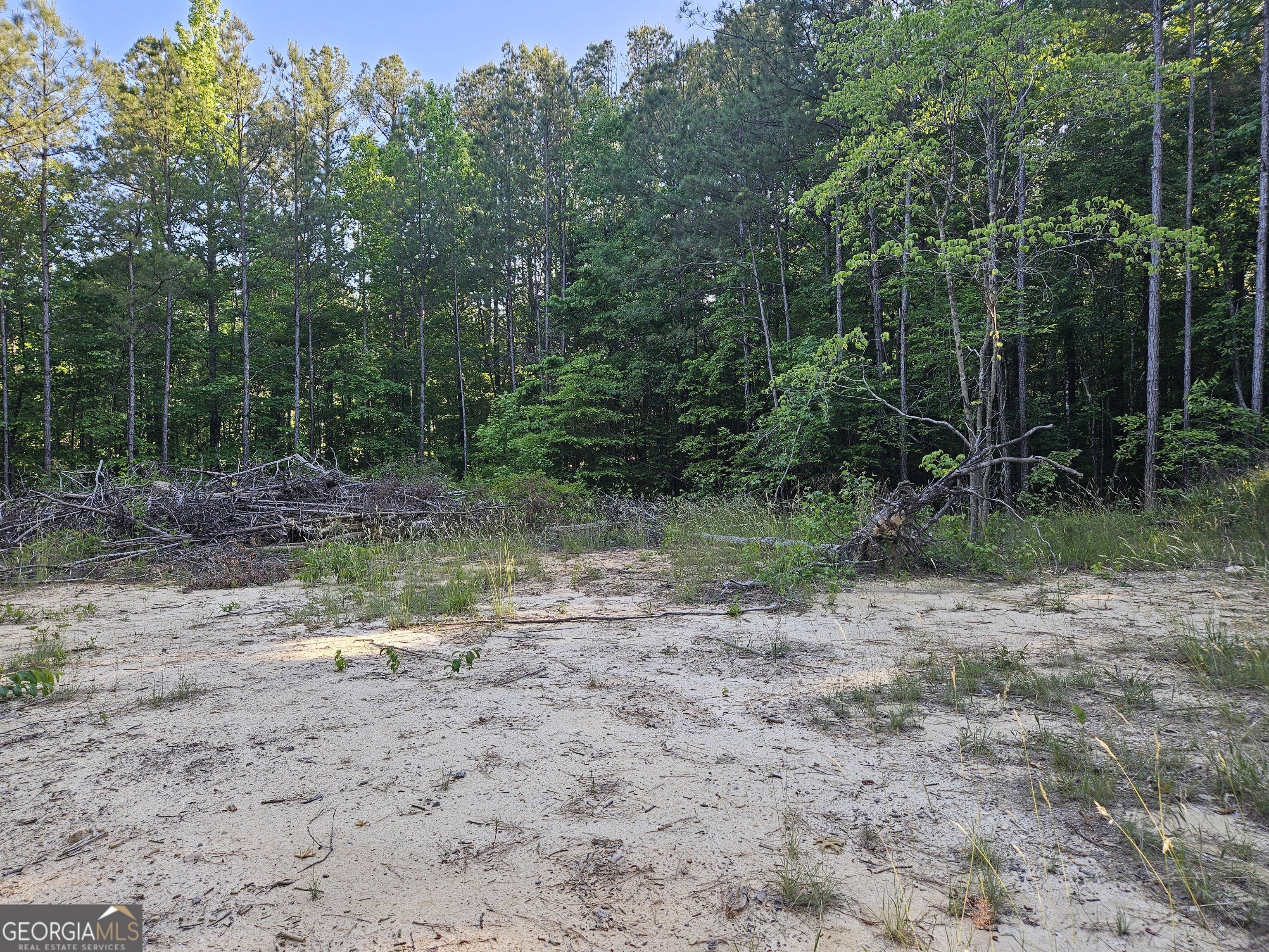 0 Ponderosa Property Photo 13