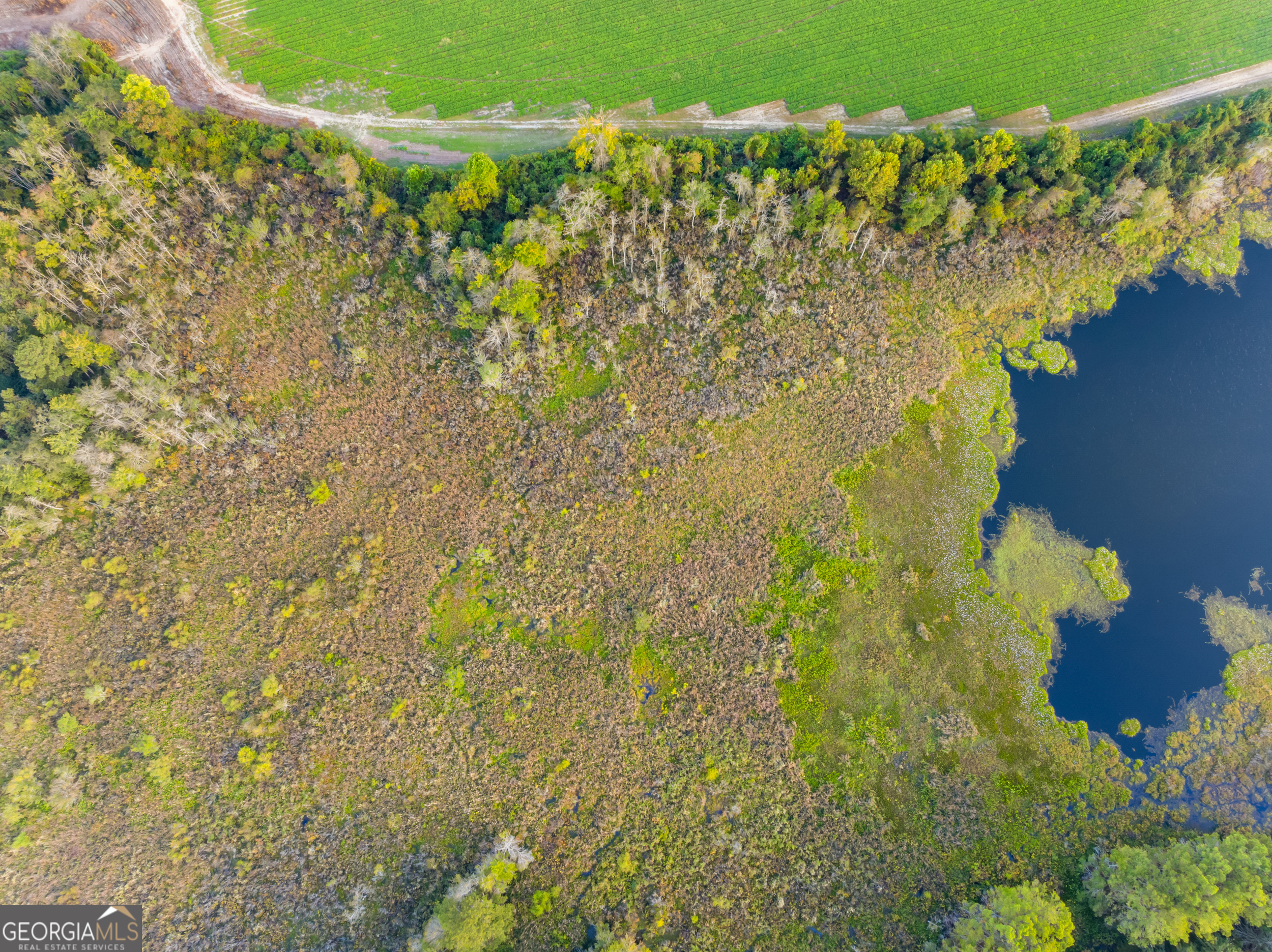 0 Mcelveen Kendrick Pond Road Property Photo 7