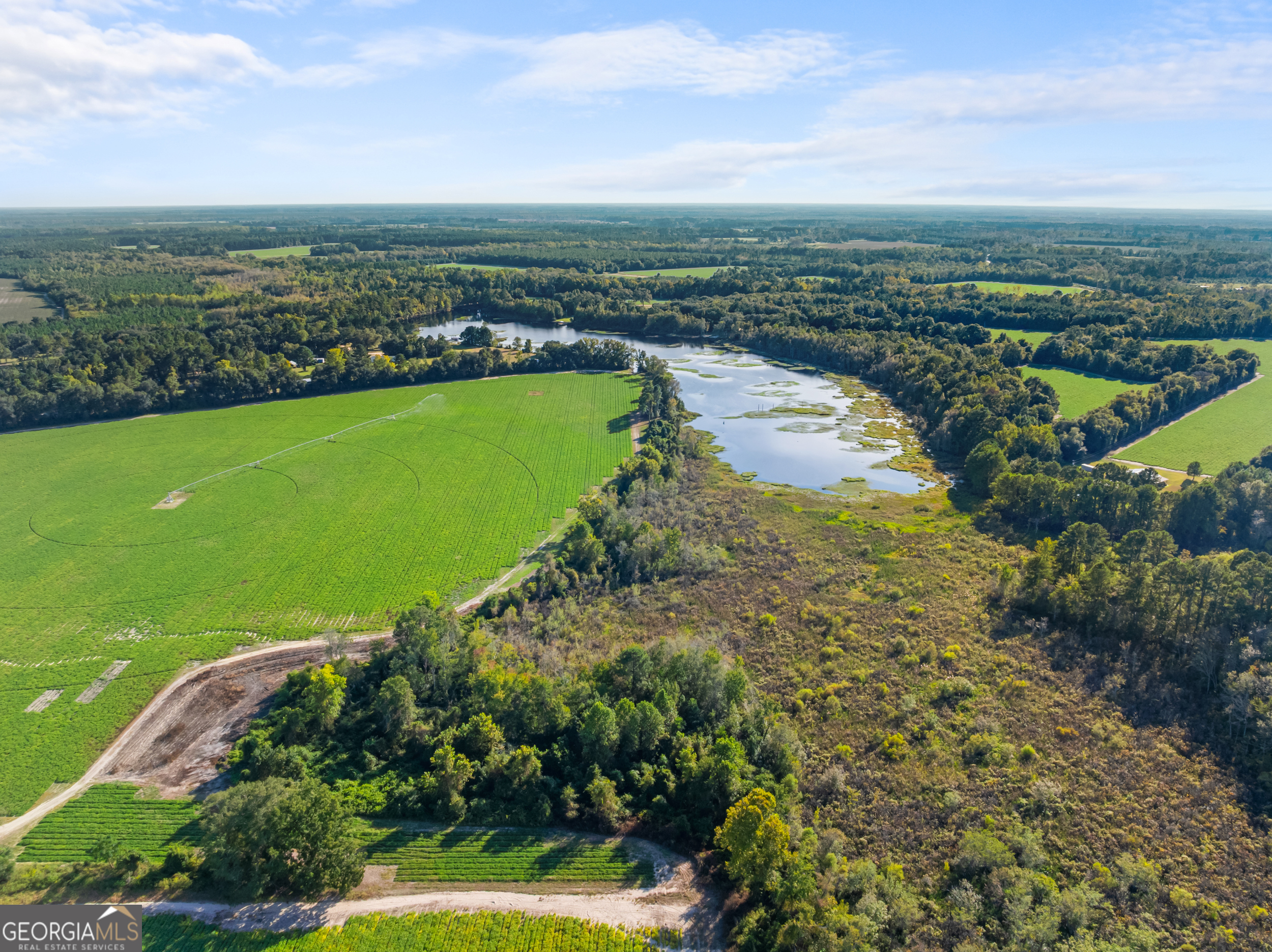 0 Mcelveen Kendrick Pond Road Property Photo 14