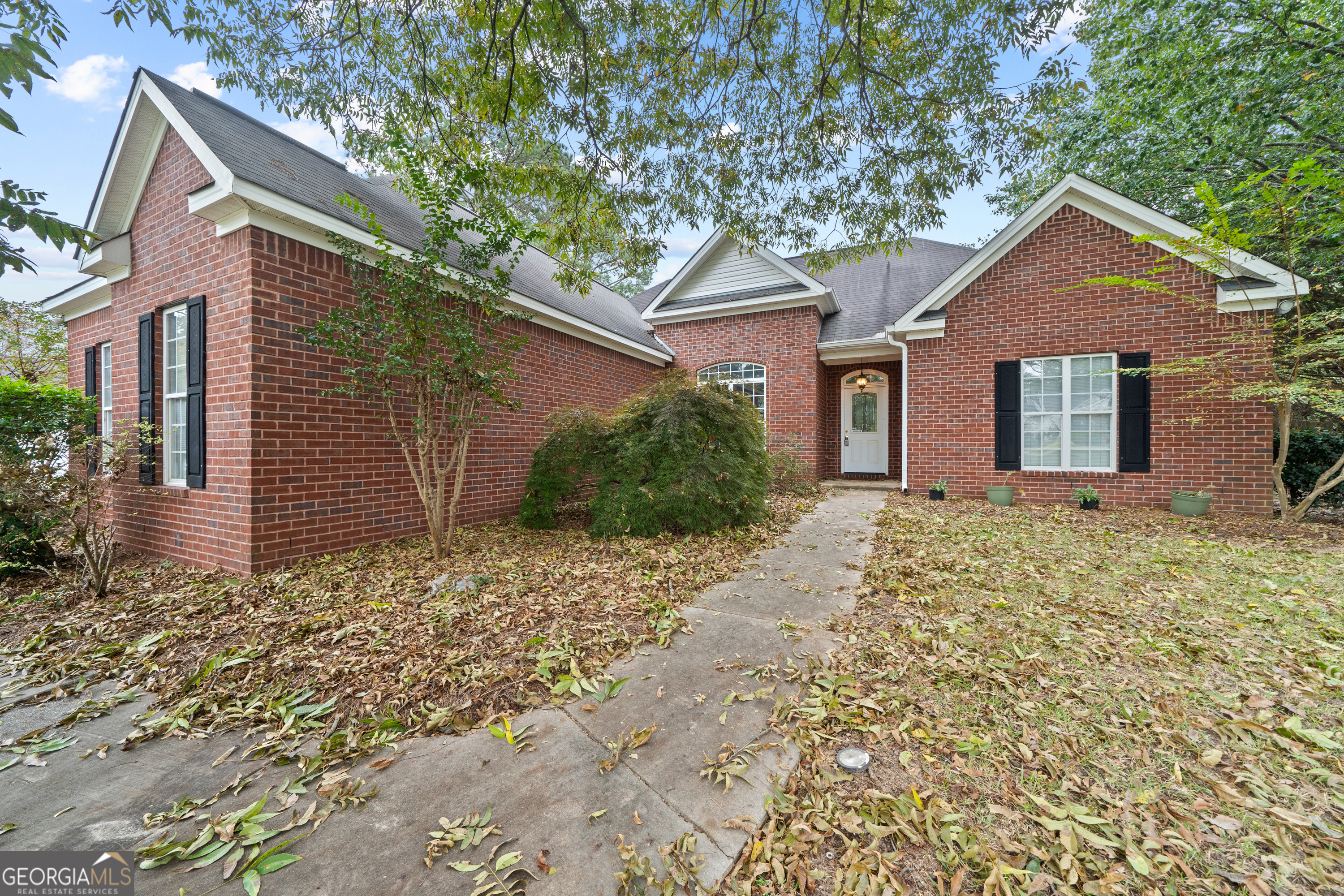 1119 Alma Drive