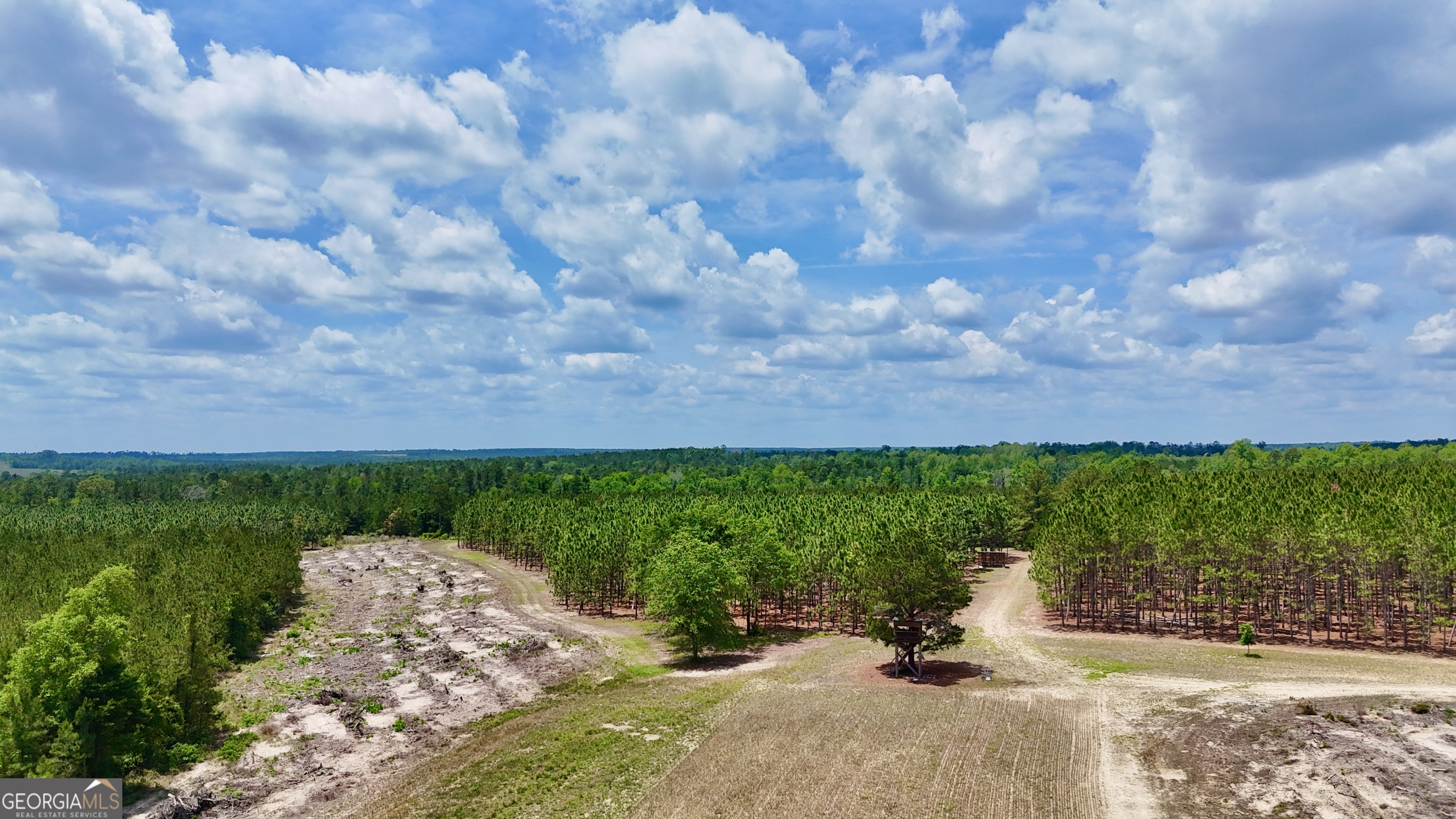 0 Neily Wagon Road Property Photo 8