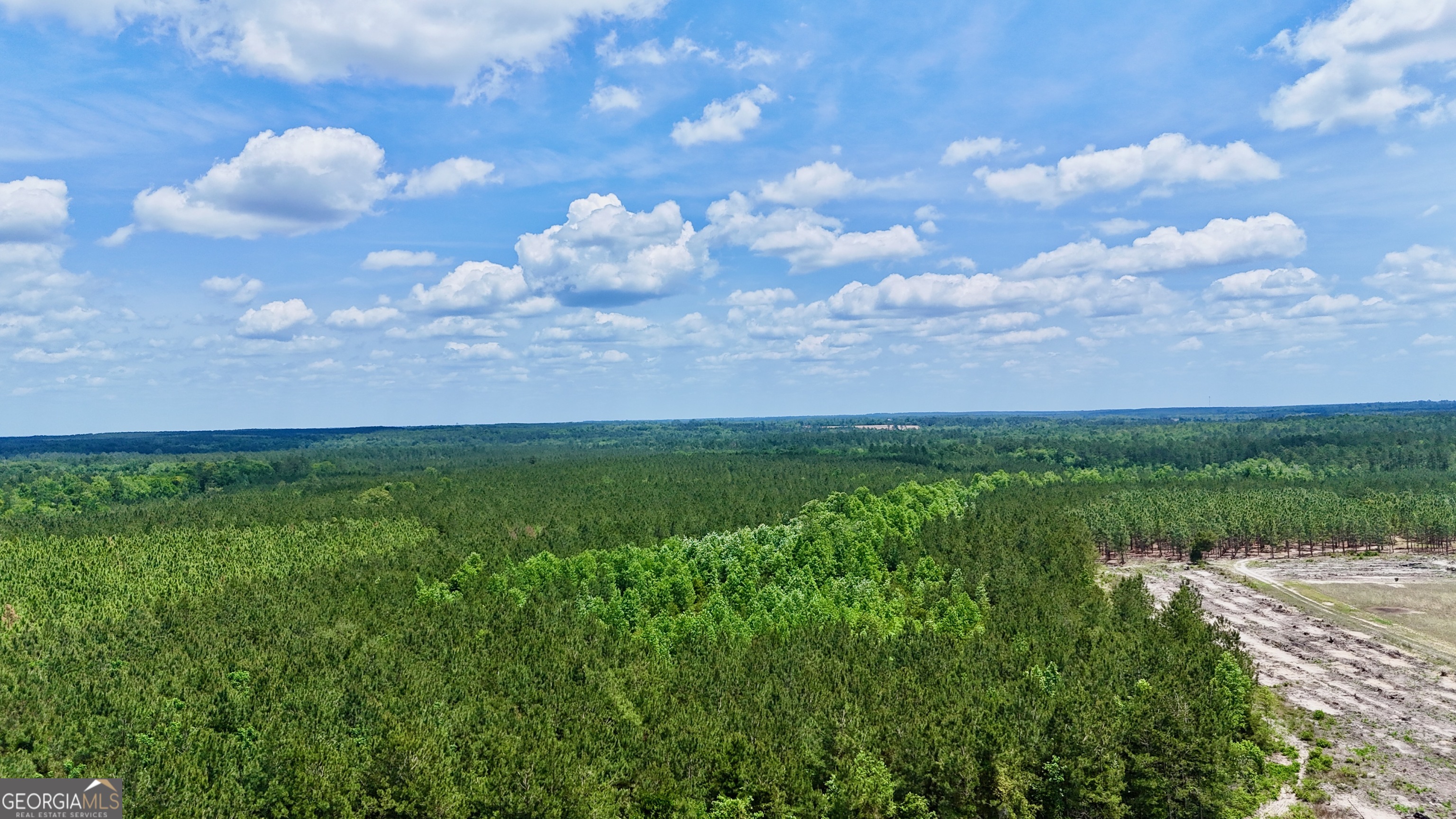 0 Neily Wagon Road Property Photo 9