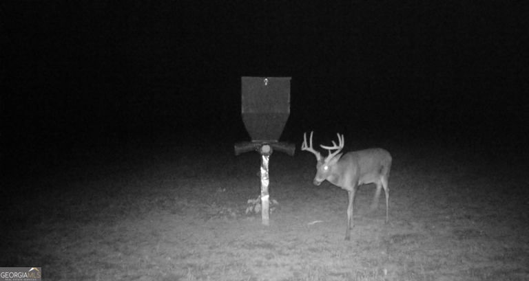 0 Neily Wagon Road Property Photo 18