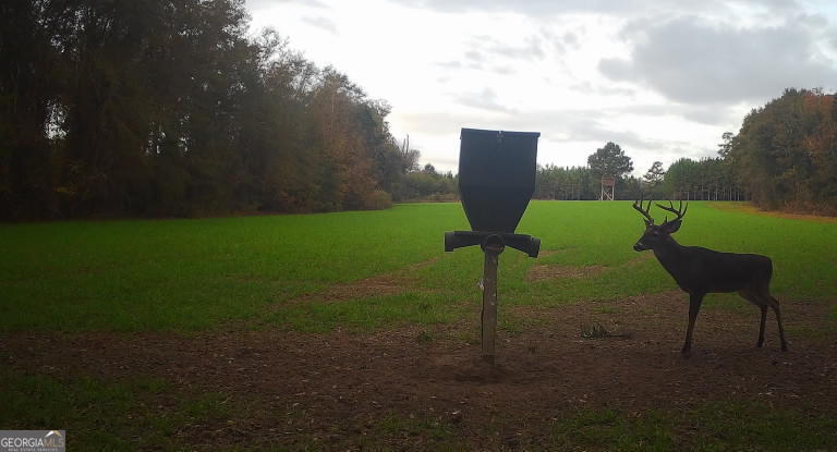 0 Neily Wagon Road Property Photo 21