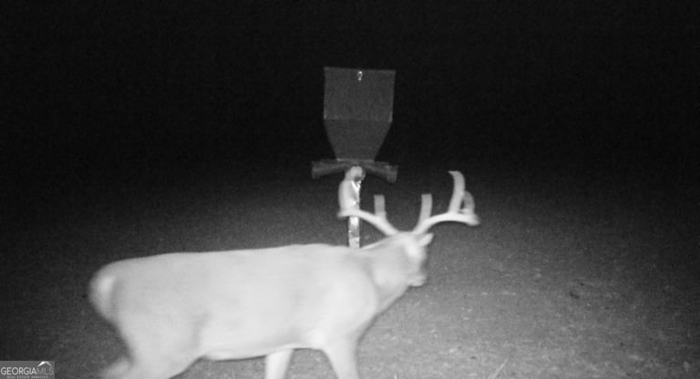 0 Neily Wagon Road Property Photo 25