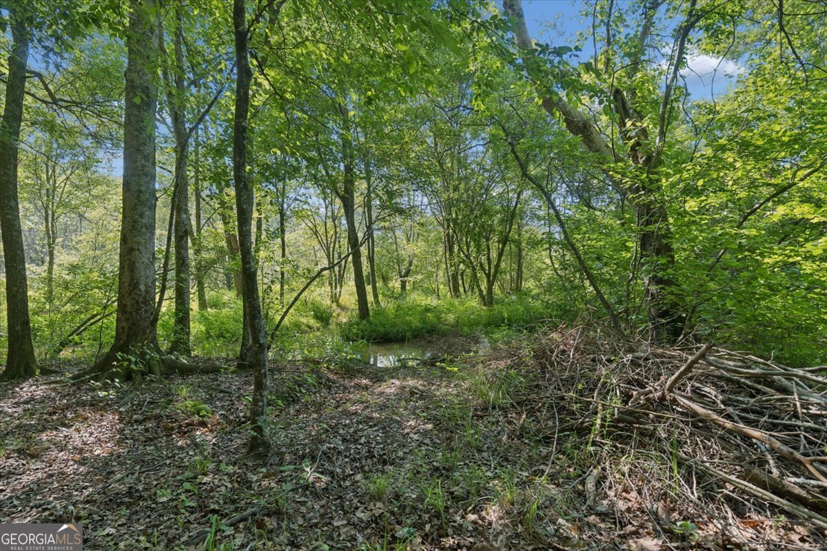 3610 Hwy 142 Property Photo 65