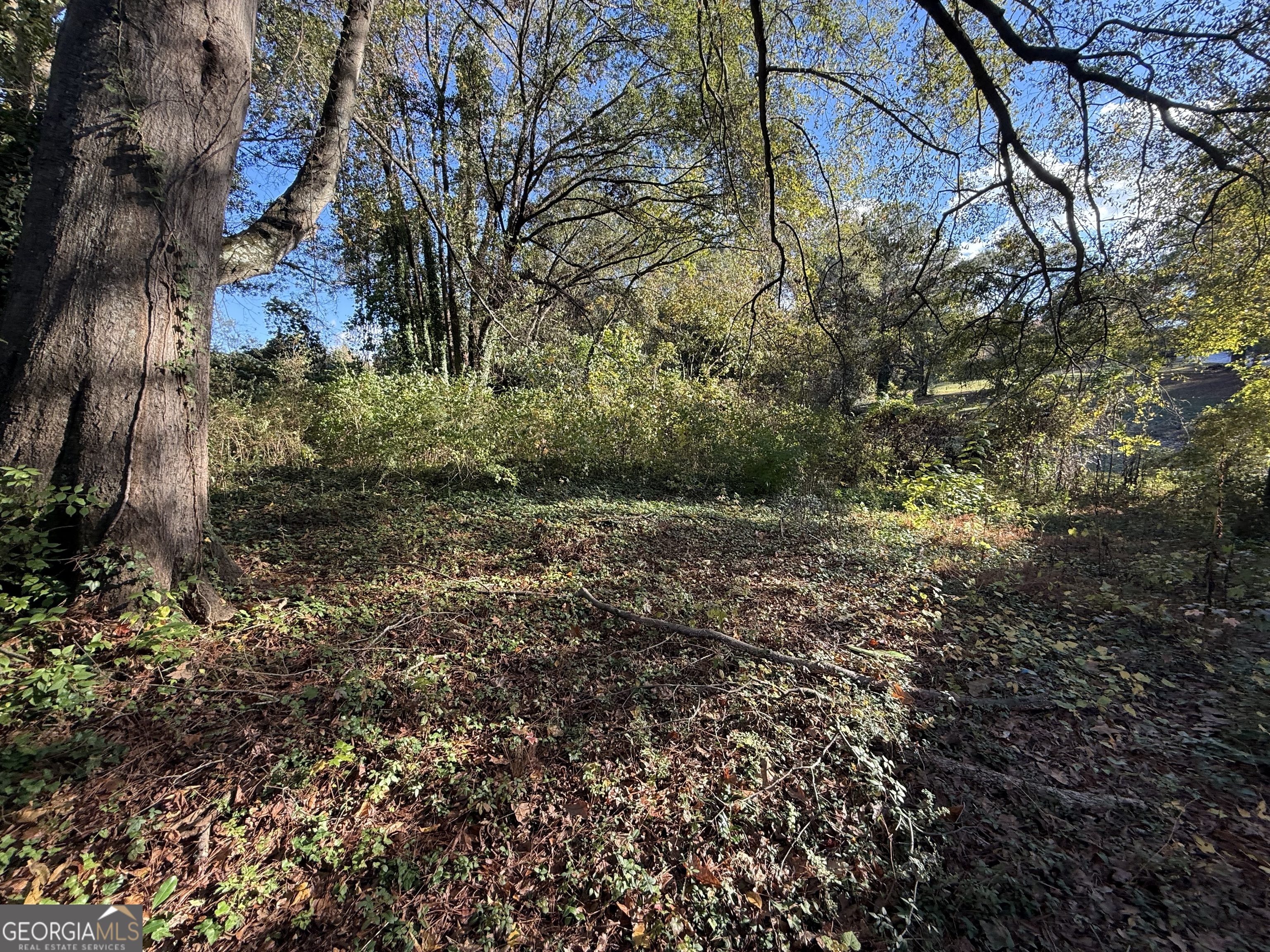 395 Woodlawn Avenue Nw Property Photo 8