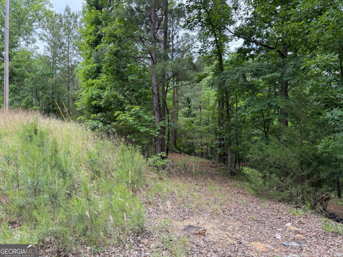 0 Bramlett Circle Property Photo 5