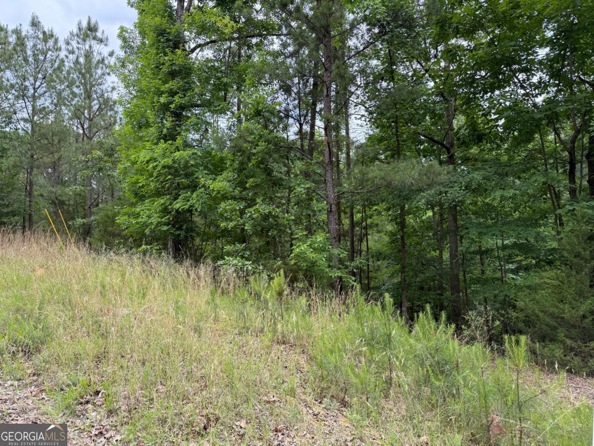 0 Bramlett Circle Property Photo 6