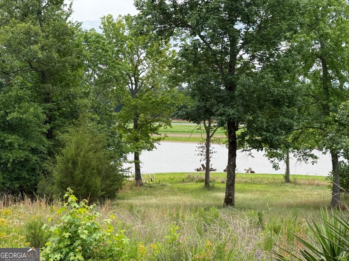 0 Bramlett Circle Property Photo 8
