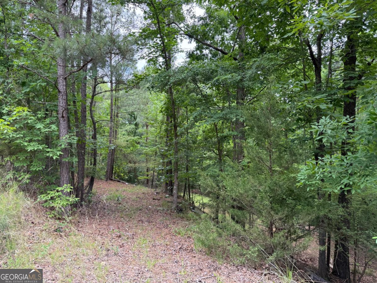 Lot 52 Bramlett Cr Property Photo 1