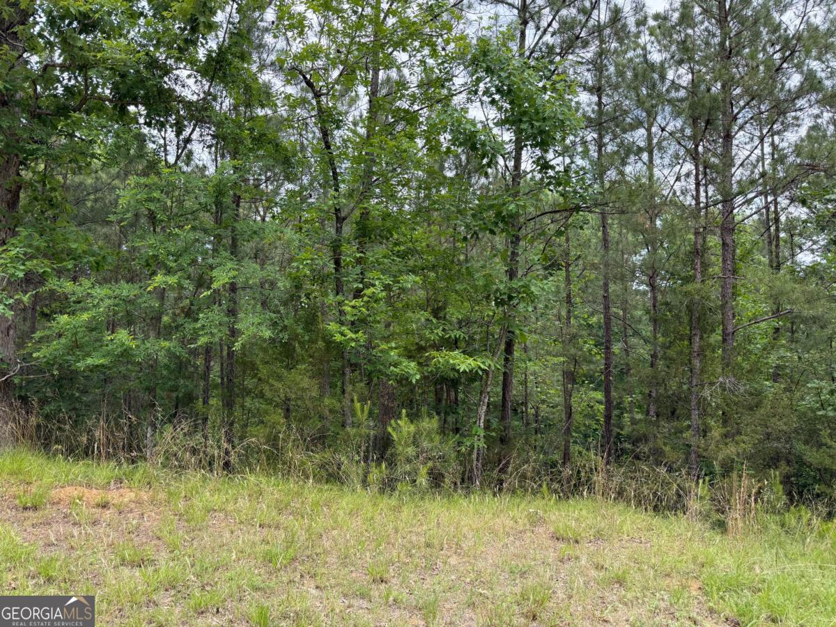 Lot 52 Bramlett Cr Property Photo 2