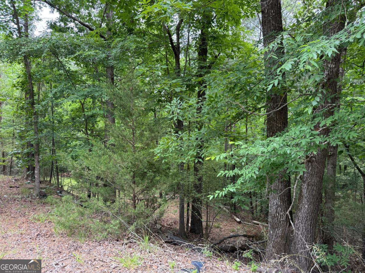 Lot 52 Bramlett Cr Property Photo 3