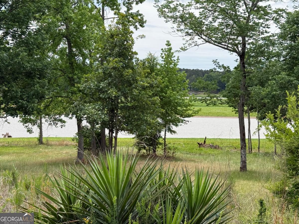 Lot 52 Bramlett Cr Property Photo 5