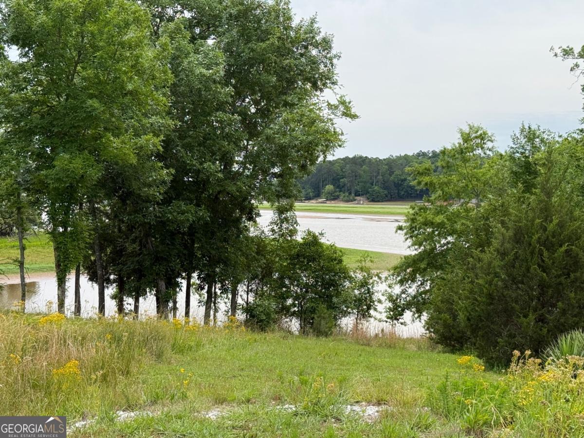Lot 52 Bramlett Cr Property Photo 6