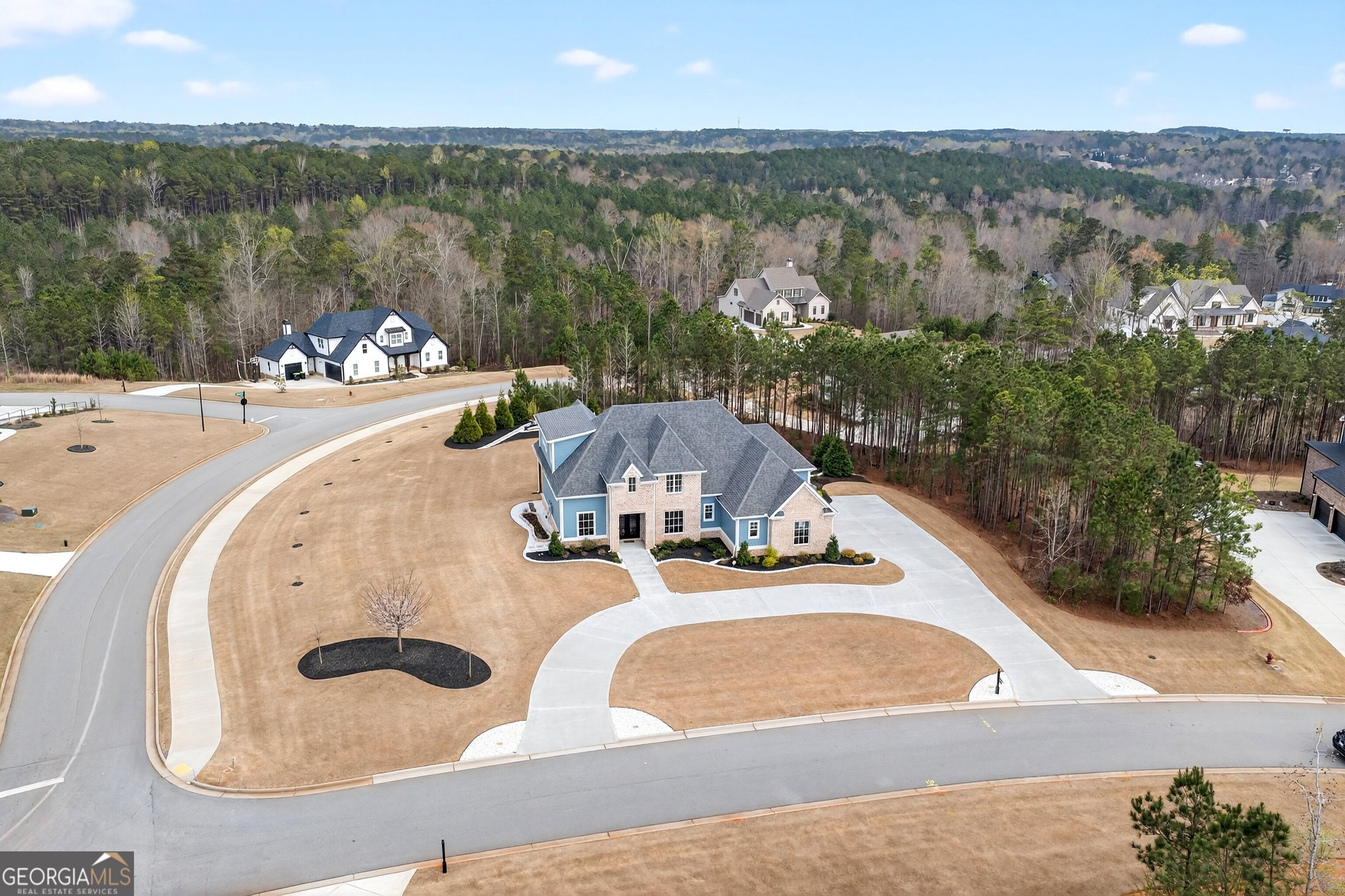 61 Forest Berry Court Property Photo 64