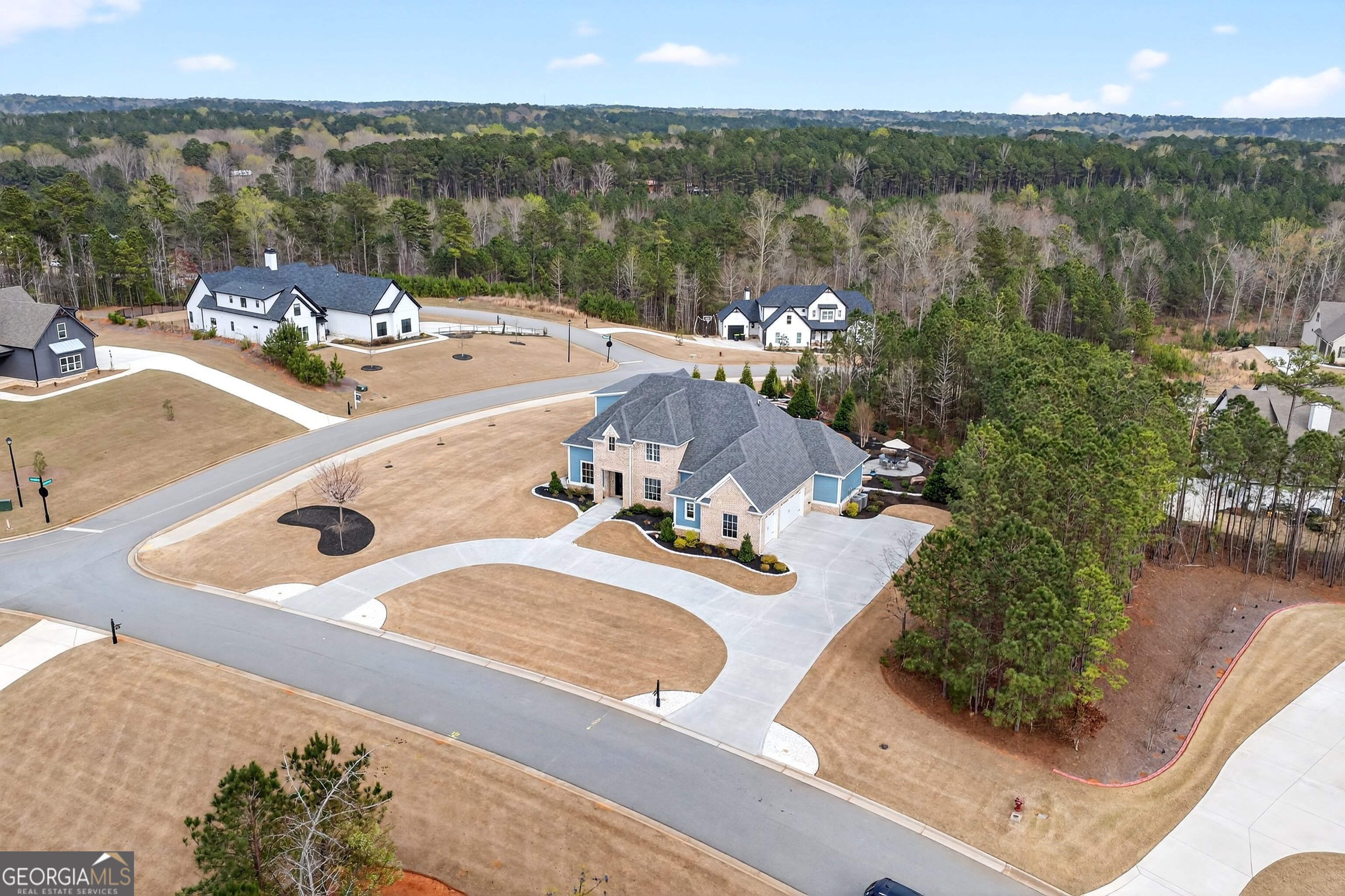 61 Forest Berry Court Property Photo 65
