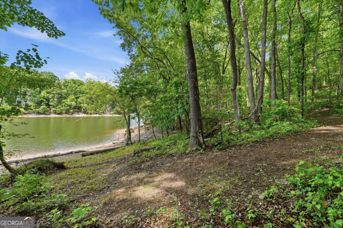 3480 Talking Leaves Trail Property Photo 4
