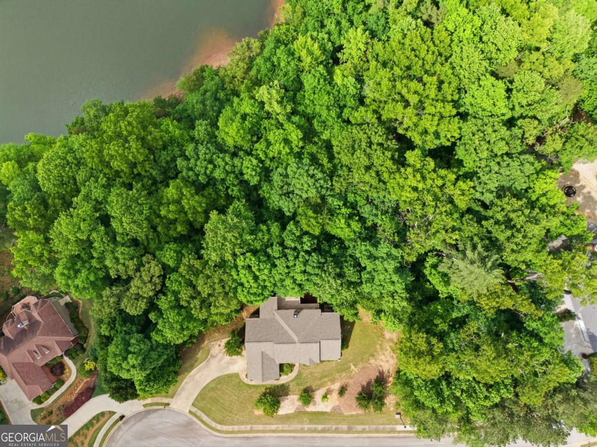 3480 Talking Leaves Trail Property Photo 5